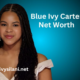 Blue Ivy Age Net Worth